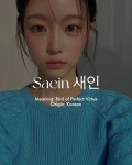 Saein 새인