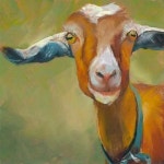 Sheep에 관한 60개의 최상의 Pinterest 이미지 | 농장 동물, 염소 및 시골 생활 Sheep