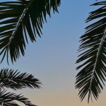 선재도카페 플로레도커피_2nd on Instagram: 어제의노을🧡 오늘은 또 얼마나 이쁠까앙🌴 . . . #카페#데이트코스#드라이브#주말#좋아요... 