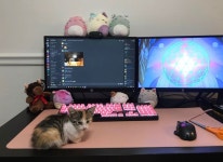 Pin by 킹왕짱 on SETUPWB | Gaming room setup, Gamer room, Gamer setup