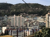 대티고개 산동네 | 건축물