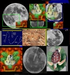 THE MOON AND IAH KIDDO,1 Pin on 미래식당(직원전용)/OB타운(본사)