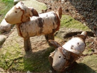 Treesgs에 관한 17개의 최상의 Pinterest 이미지 | 목공예, 나무 프로젝트 및 공예 Treesgs