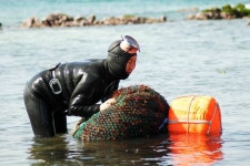 제주도 귀덕 2리 제주해녀의 기록 : 네이버 블로그 | 제품, 풍경 사진, 사진