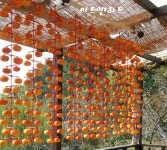 최정애소스에 있는 최정애의백세건강 자연과식품님의 핀 - 2021