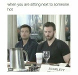 celebs에 관한 42개의 최상의 Pinterest 이미지 | 배우, 얼굴 및 유명인 celebs