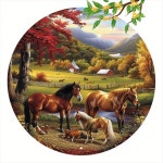 및 농장 테마의 벽 컷아웃, 8x8인치, 독특한 주철 소재로 제작된 이 제품은 독서실, 주방, 거실 등 다양한 장소에... 