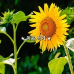 잔잔한 호수의 은빛무늬 같은 온유한 하루. 인생은 마음먹기에 따라 100점짜리가 될 수 있대요. 파이팅! 재방송이 없는 오늘. 늘 인생은... 
