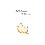 doggiecorgi(도기코기)에 있는 greengrin님의 핀