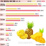 활발해지는 열대과일 농사…제주도에서 ‘파파야’ 먹는다 - 한국스포츠경제 | Fruit, Pineapple