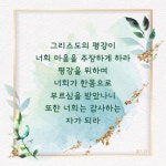 그리스도의 평강이... #성경 #성경구절