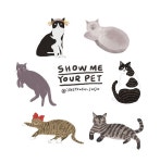 Show me your pet project 2nd release ✍🏻 두번째 쇼미유어펫 완성작들입니닷!  이번엔 모두 고양이들이네요 :) 고양이들은 하나같이 다... 