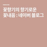 꽃향기의 향기로운 꽃내음 : 네이버 블로그 | 블로그