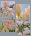 Pin on 에스더