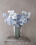 브론즈블루 flower studio ◡̈ on Instagram: “_ 하늘 닮은 스위트피 _ #sweetpeas #브론즈블루” 브론즈블루 flower studio... 