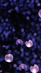 InspPhoto에 관한 77개의 최상의 Pinterest 이미지 | 배경화면, 비오는 날 및 흑인 남자 InspPhoto