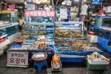 노량진수산시장의 풍경, 구관과 신관 Fisheries Wholesale Market  생선, 해물류의 최대시장인 노량진수산시장의 풍경입니다. 조만간 엣날의... 