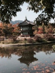 Korea del sur에 관한 상위 25개 이상의 Pinterest 아이디어 | South corea, Corea del sur seul 및 Seul corea
