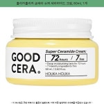 홀리카홀리카퍼펙트솔루션윤광크림