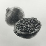 석류 #연필드로잉 #소묘 #입시미술 #석류 #드로잉 #드로잉스타그램 #소묘스타그램 #과정작 #소묘수업 #기초디자인 #사고의전환 #연필화…