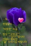 늘 한결같은 마음