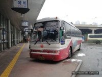 Bus에 있는 핀