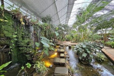 하늘물빛정원, 봄맞이 새 단장 시작!