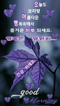 아침인사