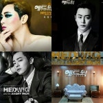 헤드윅 홍익대 대학로 아트센터 대극장 20160305 | 헤드윅, 연극