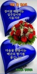 좋은 글 모음에 있는 Sunney Kwon님의 핀 - 2022 | 아침 인사, 아침 인사 인용구, 멋진 명언