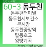 60-3번 버스 (경기도 동두천)