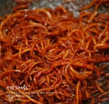(오징어채) 진미채볶음 황금레시피 공개! : 네이버 블로그 | 볶음 요리, 반찬, 음식