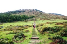 효리네민박 방송에 나온 백약이오름 ! 민박집 손님 김해시스터즈가 찾았던 제주오름 인데요 용눈이 오름 만... | 여행지, 여행, 풍경 사진