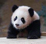Pin page Ghim trên 바오 trong 2024