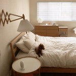 . 개털도사님 정신수양 하시는 동안 따뜻한 차 준비해놓겠어요🍵 #팔로네집 | 집 꾸미기, 가정용, 인테리어