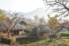 풍경에 있는 유니 신님의 핀 | 백조