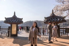 경북 안동 여행 가볼만한곳 월영교 | 여행, 풍경도, 안동시