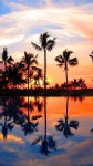 Sunset ...(이미지 포함) | 풍경 배경화면, 석양, 해변 사진