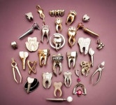 Pin by 심승혜 여자 on DENTISTRY BUZZ | Dental gifts, Gifts for dentist, Dental assistant gifts