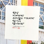 캘리에 있는 핀