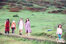 효리네민박 백약이오름 요즘 핫플 제주오름 명소 : 네이버 블로그 | 여행