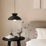 Cairns Nordic Metal Pendant Light Living Room Bedroom Nordic Simple Augustus Pendant Light For Dining Room Black / D34*H16 CM in 2024