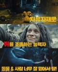 [워너브라더스영화] 모든 쥐가 내 편인 기분은..?(상상불가) 킹 샤크와도 절친될만큼 부드럽지만 상상초월 엄청난 능력의 소유자 #랫캐처2... 