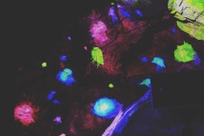 #2017년 #4월 #출사 #경기도 #광명 #광명동굴 #광명시립합창단 #사랑사랑로맨틱콘서트 #Photographersvisit #Gyeonggido... 