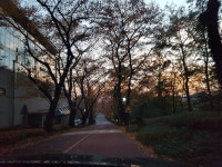 ㅁ??ㅇㅇ       ㅇㅁㅇㅇ  ㅇㅇㅇ?   ?.   .i.ibm에 있는 정남향님의 핀