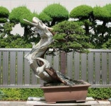 월출산분재그림경매장 | Bonsai.insp3에 있는 구명회님의 핀 | 분재, 그림