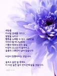 기쁨과 영광과 선의 결실, 이상의 요소는 다 없어지고 슬픔과 고통만이 남아 있습니다… #문선명총재 #한학자총재 #천성경