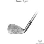 Sweet Spot - Golf Club Part - Illustrated Definition & Guide | 골프