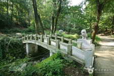 Daegu Apsan Park | 대구앞산공원 : TRIPPOSE