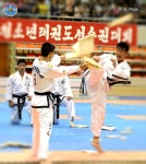 정통무도 태권도 - Orthodox Martial Arts Taekwon-Do - | Martial arts, Martial, Sports